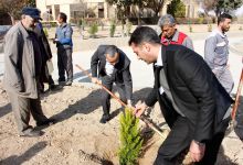 گزارش تصویری از آئیین درختکاری و تقدیر ازهمکاران فضای سبز دانشگاه
